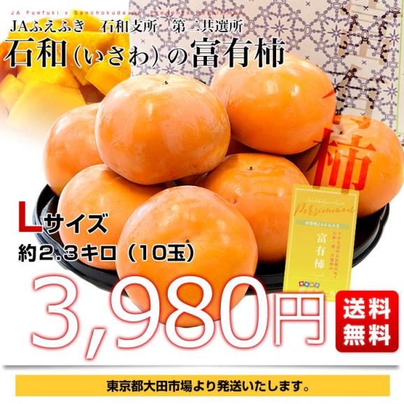山梨県JAふえふき 石和支所 第二共選所の富有柿 Lサイズ 約2.3キロ (10玉入り) 送料無料 かき カキ03
