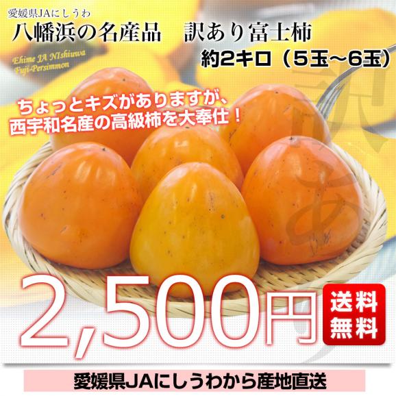 愛媛県より産地直送 JAにしうわ 富士柿 訳あり 2キロ(5玉から6玉) 送料無料 柿 かき ふじがき03