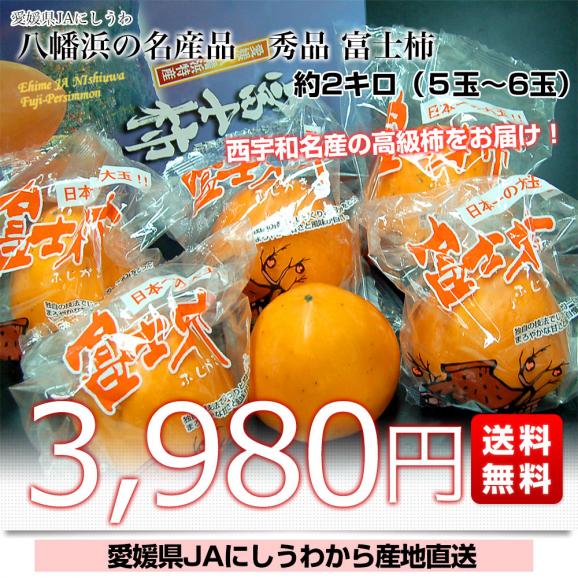 愛媛県より産地直送 JAにしうわ 富士柿 秀品 2キロ(5玉から6玉) 送料無料 柿 かき ふじがき お歳暮 御歳暮03