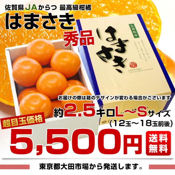 佐賀県産JAからつ はまさき 秀品 LからSサイズ 約2.5キロ (12から18玉前後) 送料無料 唐津 浜崎03