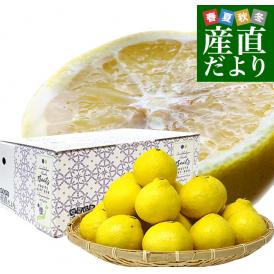 愛媛県 JAにしうわ はるか 2LからMサイズ 約2.5キロ (10玉から17玉前後) 送料無料 柑橘 オレンジ ハルカ 西宇和