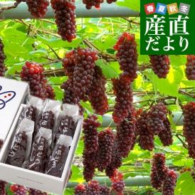 島根県より産地直送 JAしまね ハウスデラウェア 赤秀 Lから2Lサイズ　800g (5房から6房) 化粧箱入り ぶどう 葡萄 ブドウ 送料無料