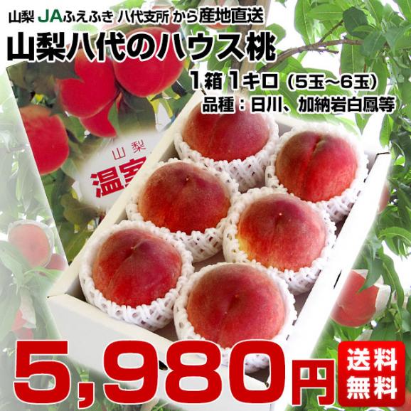山梨県より産地直送 JAふえふき八代支所 八代のハウス桃 約1キロ (5玉から6玉) 送料無料 もも やつしろ 笛吹03