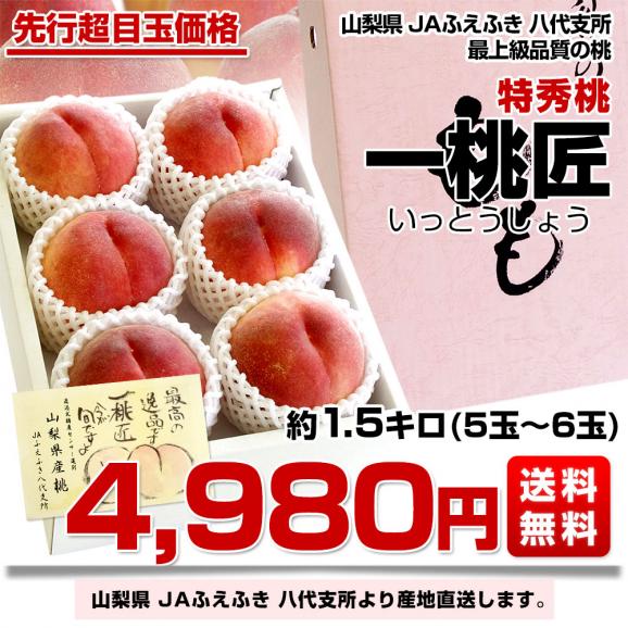 山梨県より産地直送 JAふえふき八代支所 八代の特秀桃 一桃匠 (いっとうしょう) 約1.5キロ (5玉から6玉) 送料無料 もも モモ ギフト 夏ギフト お中元 御中元 笛吹03
