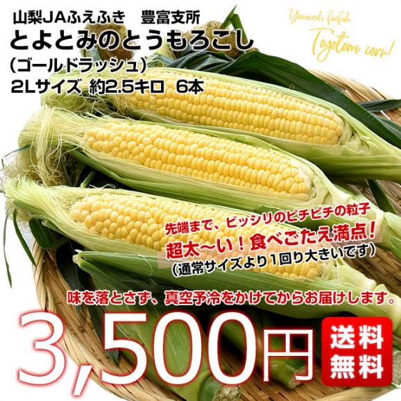 山梨県より産地直送 JAふえふき 豊富支所 とうもろこし (ゴールドラッシュ) 2Lサイズ 約2.5キロ (6本入り) 送料無料 ※クール便03