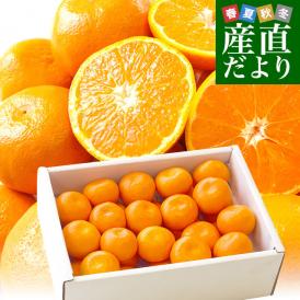 佐賀県より産地直送　JAからつ　ハウスみかん　3Sサイズ 　約1.2キロ（約30玉）　蜜柑　ミカン　送料無料
