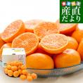 佐賀県 JAからつ ハウスみかん 小粒3Sサイズ 秀品 約1.2キロ（約400g×3袋）合計24玉から30玉前後 送料無料 蜜柑 ミカン 柑橘 ハウスミカン 唐津 小玉みかん