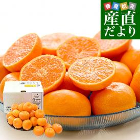 佐賀県 JAからつ ハウスみかん 小粒3Sサイズ 秀品 約1.2キロ（約400g×3袋）合計24玉から30玉前後 送料無料 蜜柑 ミカン 柑橘 ハウスミカン 唐津 小玉みかん