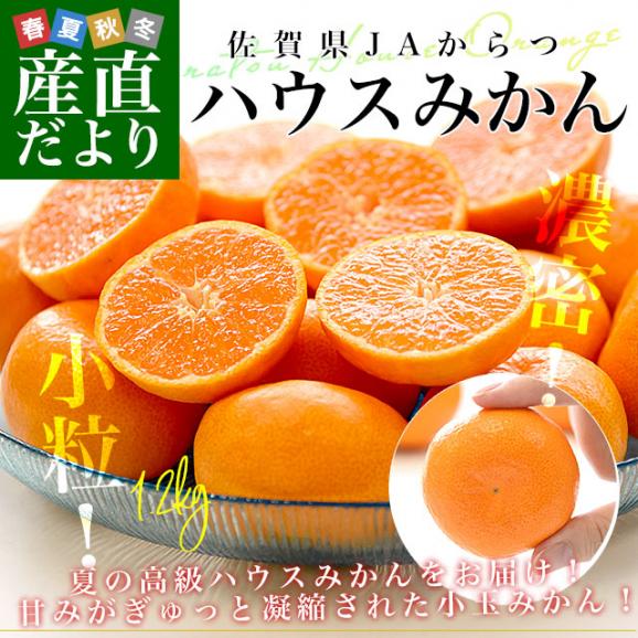 佐賀県 JAからつ ハウスみかん 小粒3Sサイズ 秀品 約1.2キロ（約400g×3袋）合計24玉から30玉前後 送料無料 蜜柑 ミカン 柑橘 ハウスミカン 唐津 小玉みかん02