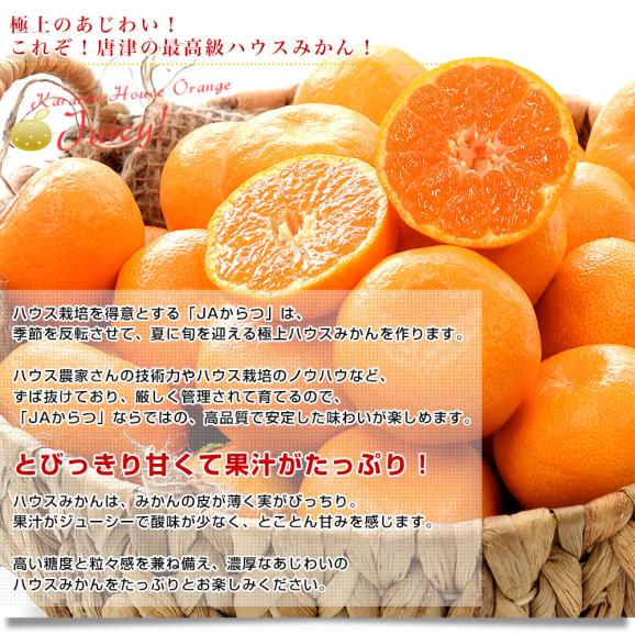 佐賀県 JAからつ ハウスみかん 小粒3Sサイズ 秀品 約1.2キロ（約400g×3袋）合計24玉から30玉前後 送料無料 蜜柑 ミカン 柑橘 ハウスミカン 唐津 小玉みかん05