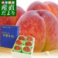 山梨県より産地直送 JAフルーツ山梨 山梨支所 特秀桃 旬夏秀桃 (しゅんかしゅうとう)  約2キロ (6玉から8玉) 送料無料 お中元ギフト