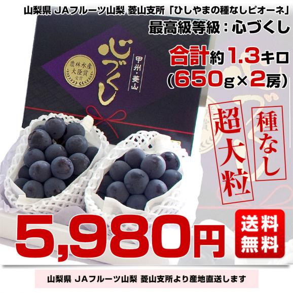 山梨県より産地直送 JAフルーツ山梨・菱山支所 ひしやまのピオーネ 最高級等級：心づくし 計1.3キロ(650g×2房) 送料無料 ※クール便03