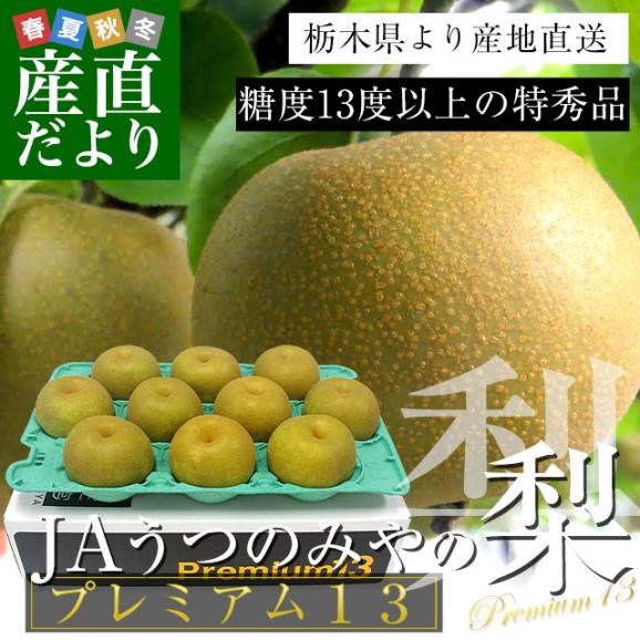 栃木県より産地直送 JAうつのみやの梨 糖度13度以上の特秀 プレミアム13 約5キロ （9玉から16玉） 送料無料 なし ナシ02