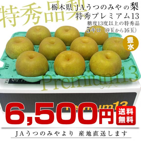 栃木県より産地直送 JAうつのみやの梨 糖度13度以上の特秀 プレミアム13 約5キロ （9玉から16玉） 送料無料 なし ナシ03