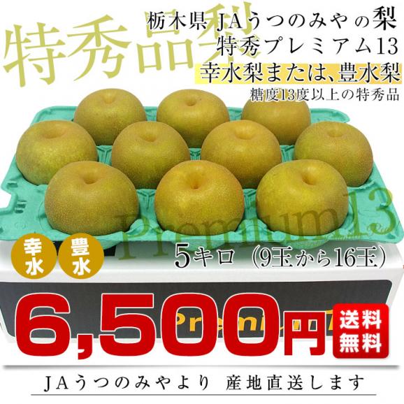 栃木県より産地直送 JAうつのみやの梨 糖度13度以上の特秀 プレミアム13 約5キロ (9玉から16玉) 送料無料　なし ナシ03