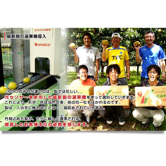 栃木県より産地直送 JAうつのみやの梨 糖度13度以上の特秀 プレミアム13 約5キロ (9玉から16玉) 送料無料　なし ナシ06