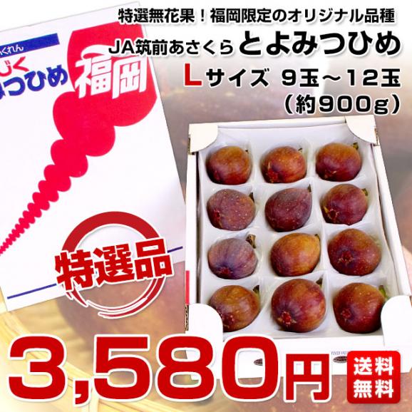 福岡県より産地直送 JA筑前あさくら とよみつひめ 秀品 化粧箱 Lサイズ 9玉から12玉（約900g）送料無料 いちじく 無花果 イチジク ※クール便03