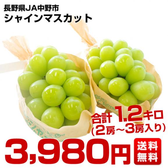 T26 長野県産シャインマスカット粒切り　約3キロ