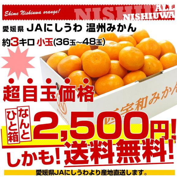 愛媛県より産地直送 JAにしうわ 西宇和温州みかん 極旨小玉 3キロ(36玉から48玉) 送料無料 蜜柑 ミカン お歳暮 御歳暮03