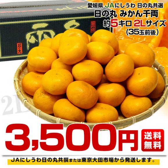 愛媛県産 JAにしうわ 日の丸みかん 千両 2Lサイズ 約5キロ(35玉前後) 蜜柑 ミカン 送料無料　03