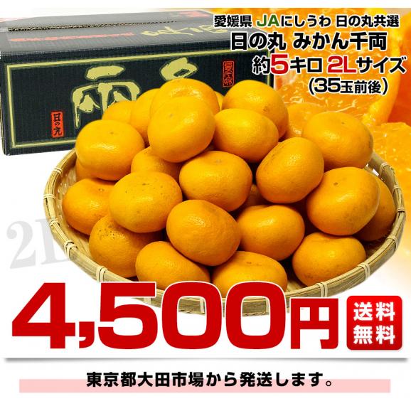 愛媛県産 JAにしうわ 日の丸みかん 千両 2Lサイズ 約5キロ(35玉前後) 蜜柑 ミカン 送料無料03