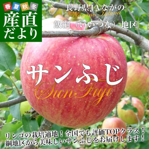 長野県より産地直送 JAながの 飯綱地区 サンふじ 赤秀以上 5キロ (14玉から20玉) 送料無料 林檎 りんご リンゴ02