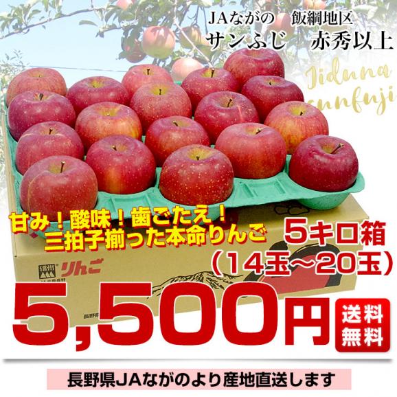 長野県より産地直送 JAながの 飯綱地区 サンふじ 赤秀以上 5キロ (14玉から20玉) 送料無料 林檎 りんご リンゴ03
