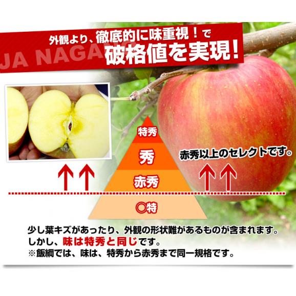 長野県より産地直送 JAながの 飯綱地区 サンふじ 赤秀以上 5キロ (14玉から20玉) 送料無料 林檎 りんご リンゴ04