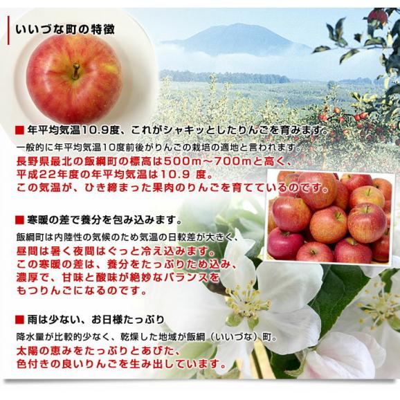 長野県より産地直送 JAながの 飯綱地区 サンふじ 赤秀以上 5キロ (14玉から20玉) 送料無料 林檎 りんご リンゴ06