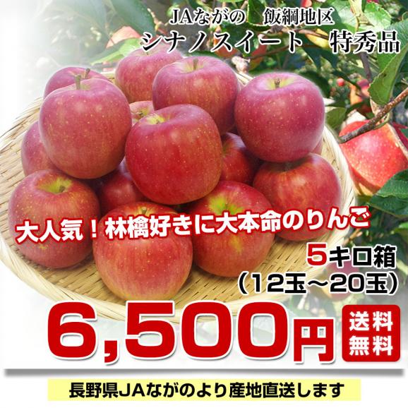 長野県より産地直送 JAながの 飯綱(いいづな)地区 シナノスイート 特秀品 5キロ(12玉から20玉) 送料無料リンゴ 林檎03