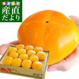 和歌山県より産地直送 JA紀の里 たねなし柿 大玉3Lサイズ 約3.75キロ(14玉入) カキ かき 柿 送料無料