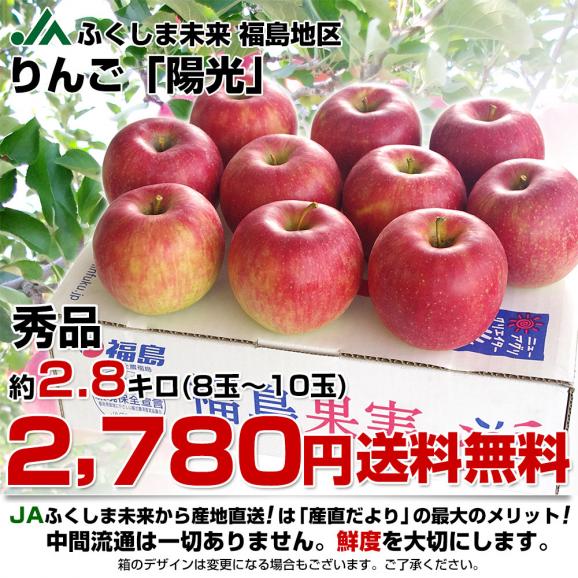 福島県より産地直送 JAふくしま未来「陽光」秀品 約2.8キロ(8玉から10玉) りんご 林檎 リンゴ  送料無料03