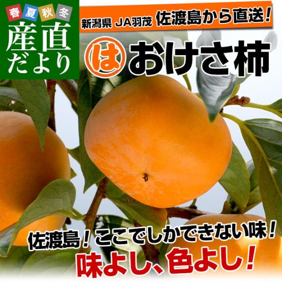 新潟県より産地直送 佐渡島 JA羽茂 おけさ柿 3.75キロ 2LからMサイズ(14玉から20玉) 柿 かき  送料無料02