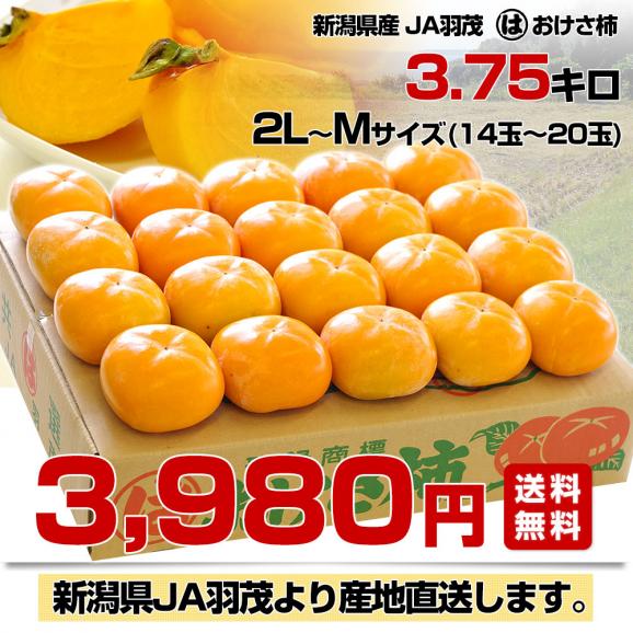 新潟県より産地直送 佐渡島 JA羽茂 おけさ柿 3.75キロ 2LからMサイズ(14玉から20玉) 柿 かき  送料無料03