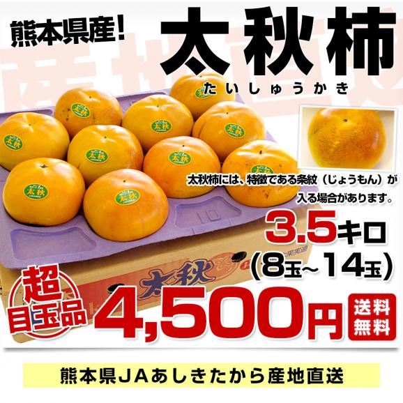 熊本県より産地直送 JAあしきた 太秋柿 3.5キロ（8玉から14玉） 送料無料 柿 かき03