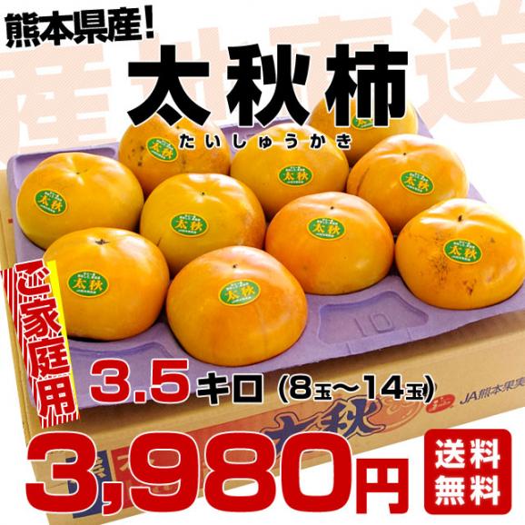 熊本県より産地直送 JAあしきた 太秋柿 3.5キロ(8玉から14玉) 送料無料 柿 かき03
