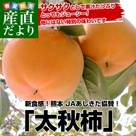 熊本県より産地直送 JAあしきた 太秋柿 2キロ(5玉から6玉) 送料無料 柿 かき02
