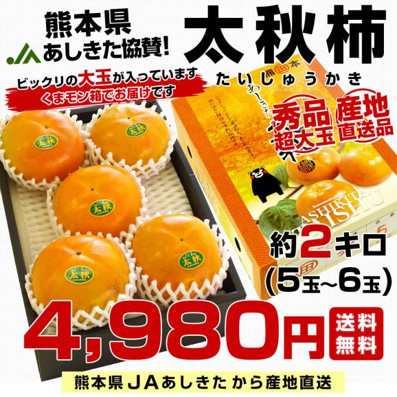 熊本県より産地直送 JAあしきた 太秋柿 2キロ(5玉から6玉) 送料無料 柿 かき03