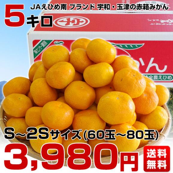 愛媛県より産地直送 JAえひめ南 玉津共選場 玉津の赤箱みかん 小玉 Sから２Sサイズ  5キロ  送料無料  蜜柑 みかん03