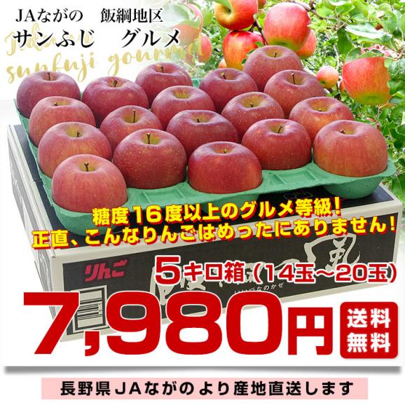 サマーセール ミニグランド バンドル 長野県より産地直送 JAながの飯綱地区 サンふじ 最高等級:グルメ 果物