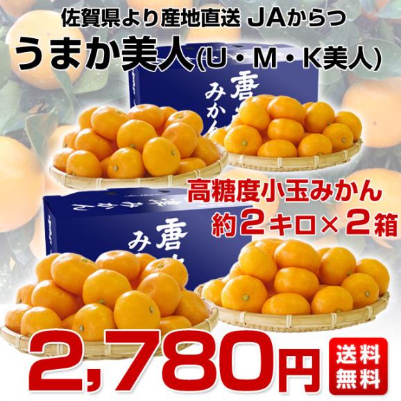 送料無料　佐賀県より産地直送　JAからつ　うまか美人　 高糖度みかん  小玉　2SからSサイズ　約2キロ×2箱（合計60玉前後）　 U・M・K美人　蜜柑　温州みかん03