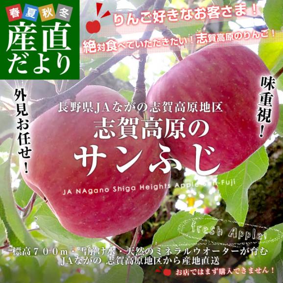 長野県より産地直送　JAながの　志賀高原のサンふじリンゴ　ご家庭用　約5キロ　(12玉から20玉)　送料無料 林檎　りんご　リンゴ02