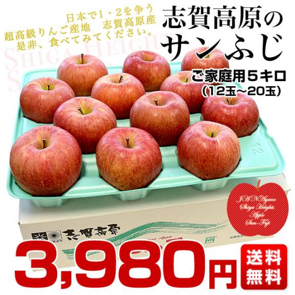 長野県より産地直送　JAながの　志賀高原のサンふじリンゴ　ご家庭用　約5キロ　(12玉から20玉)　送料無料 林檎　りんご　リンゴ03