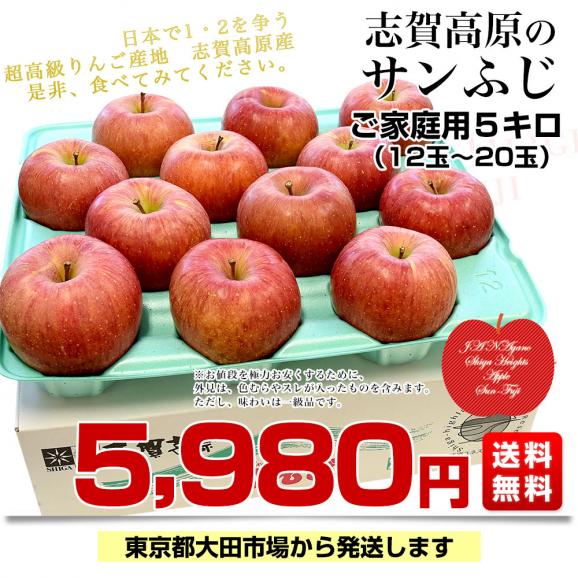 長野県産　JAながの　志賀高原のサンふじリンゴ　ご家庭用　約5キロ　(12玉から20玉)　送料無料 林檎　りんご　リンゴ03