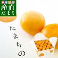 愛媛県より産地直送 JAえひめ南 特秀みかん「たまもの」 3.5キロ Mサイズ(35玉入) 送料無料 蜜柑 ミカン