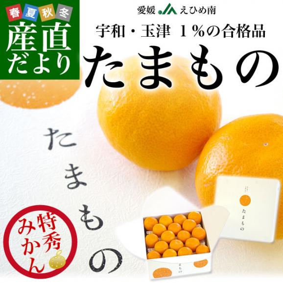 愛媛県より産地直送 JAえひめ南 特秀みかん「たまもの」 3.5キロ Mサイズ(35玉入) 送料無料 蜜柑 ミカン02