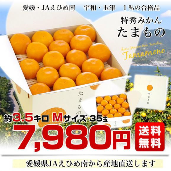 愛媛県より産地直送 JAえひめ南 特秀みかん「たまもの」 3.5キロ Mサイズ(35玉入) 送料無料 蜜柑 ミカン03