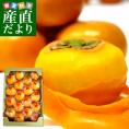 福岡県より産地直送 JA筑前あさくら 朝倉の富有柿(甘柿) ＜貯蔵品＞ ご家庭用 Lサイズ 約5キロ(20玉入り) 送料無料 柿 かき 甘柿 あま柿