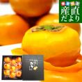 福岡県から産地直送 JA筑前あさくら 朝倉の富有柿 ＜貯蔵品＞ 秀品 2Lサイズ 2.5キロ (9玉入り) 送料無料 かき 甘柿 あま柿