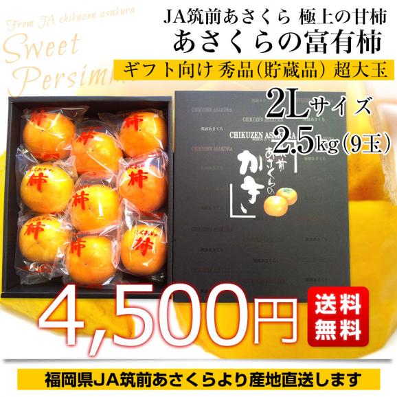 福岡県から産地直送 JA筑前あさくら 朝倉の富有柿 ＜貯蔵品＞ 秀品 2Lサイズ 2.5キロ (9玉入り) 送料無料 かき 甘柿 あま柿03
